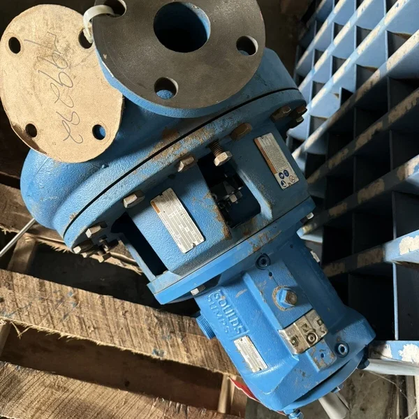 Goulds Centrifugal Pump 3196 2x3-13