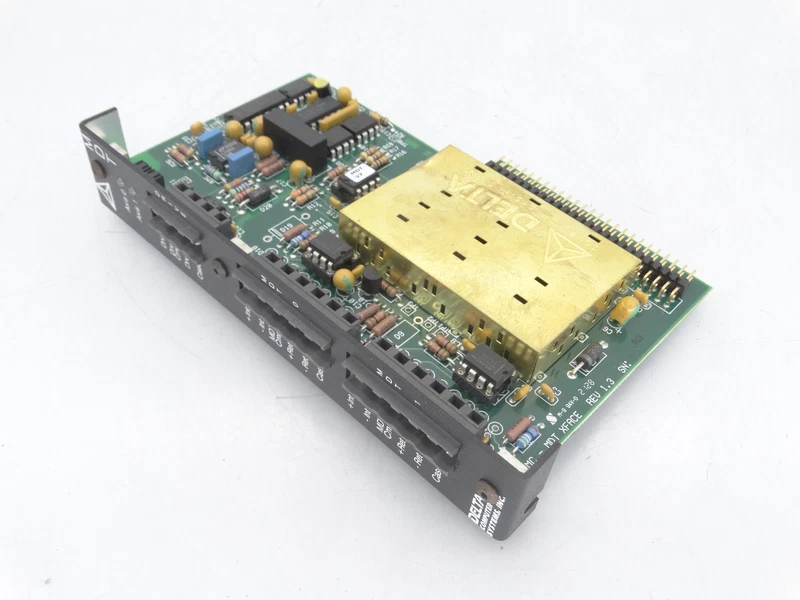 DELTA COMPUTER SYSTEMS, INC. RMC-MDT XFACE PLC MODULE 1 s l800 24353